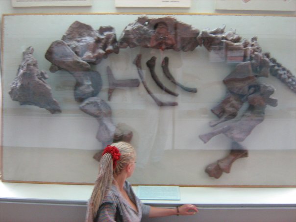 Мои путешествия. Елена Руденко. Киев (Научно-природоведческий музей.  ). 2009г. X_5e3eedc8
